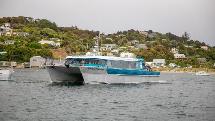 RealNZ - Stewart Island Return Ferry Service